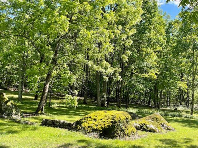 Cragsmere Manor Views 24 Guests Mentone Екстер'єр фото